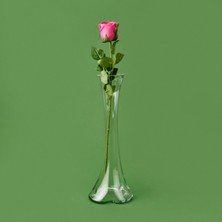 Matmel Time Islak Gül Dalı - Asorti - 50 cm