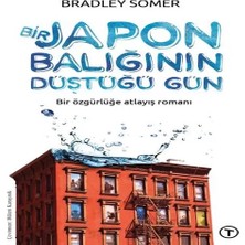 Aydogan's Bir Japon Balığının Düştüğü Gün