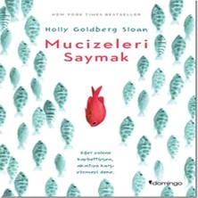 Aydogan's Mucizeleri Saymak