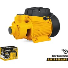 Sgs Plus SGS5380 Periferik Su Pompası 370 Watt 0.5 Hp 38 Metre Bakır Sargı