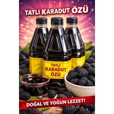 Herbliss Doğal Karadut Özü 1000 ml