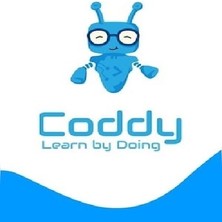 Coddy.tech - 1 Aylık Plus Hesap (Kişiye Özel)