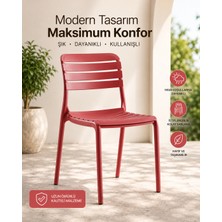 Novussi Not Sandalye 6'lı Paket Marsala