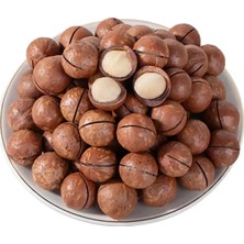 Bizim Diyardan - Makademya Fındık