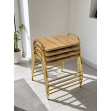 Eryalux Home 4'lü Tepsi Model Gold-Çam Modern Sehpa