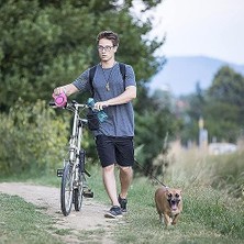 Peri Store Makaralı Otomatik Köpek Tasması (5 Metre) (Pembe)