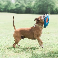 Peri Store Chuckit! Fetch Flight Frizbi
