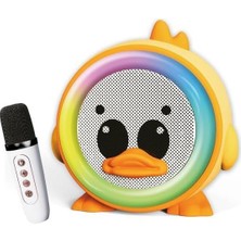 Peri Store 20W 2400 Mah Karaoke Mikrofonlu Ledli Bluetooth Hoparlör BTS-250