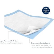 Peri Store Premium Ultra Kalın 200GRAM M2 4 Lt M2 Sıvı Emici 60X90 Alt Değiştirme, Hasta Bakım Yatak Koruyucu Örtüsü, Bebek Alt Açma Örtüsü, Evcil Hayvan Çiş Pedi 10 Adet