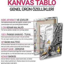 Peri Store Dünya Haritası Panosu 40 x 40
