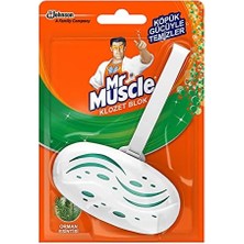 Peri Store Mr Muscle Orman Esintisi 1 Adet Klozet Bloğu