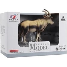 Peri Store Kutulu Model Antilop