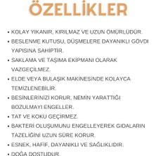 Peri Store Şekilli Saklama Kabı, Eğlenceli ve Besleyici Beslenme Kabı, Bpa Içermeyen, Çok Amaçlı, Renkli ve Öğretici, Uzun Ömürlü, Yeni Seri (Havuç Şekilli)