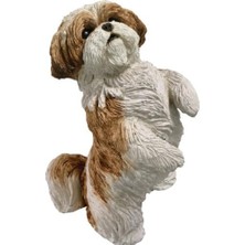 Peri Store Sandicast Orijinal Boyut Altın ve Beyaz Shih Tzu Heykeli, Güzel Oturan