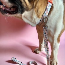 Assess Store , Köpek Gezdirme Kayışı – Geri Dönüştürülmüş, Karabina Metal Kancalı, Yumuşak Dokulu, Emniyetli, Ayarlanabilir, Küçük ve Büyük Irklar Için, Recycled Gezdirme Kayışı Large