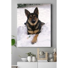 Peri Store (PSTER16776) Kurt Köpeği Hayvan Kanvas Tablo 21 x 30