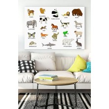 Peri Store (PSTER16285) Hayvanlar Eğitim Kanvas Tablo 50 x 70