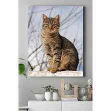 Peri Store (PSTER16463) Kedi Hayvan Kanvas Tablo 50 x 70