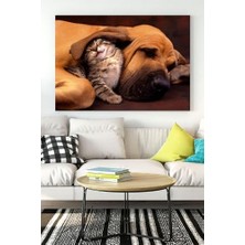 Peri Store (PSTER16510) Kedi ve Köpek Eğlenceli Mizahi Kanvas Tablo 40 x 60