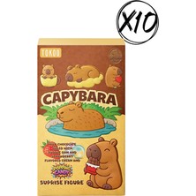 Tokoo Capybara Orman Meyveli Çikolata 30G 10 Adet