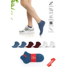 Dayco Premium Dikişsiz Erkek Bambu Patik Çorap 6'lı Asorti Set - 41-45 - 10500-BBM