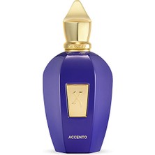 Xerjoff Accento 100ML