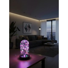 Orijinaldükkan LED Işıklı Ters Fanus 3 Metre Peri Tel ile Birlikte Rgb Renkli Teraryum Dekoratif Organizasyon