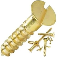 Assess Store Kale Vida Sarı Havşa Başlı Ağaç Vidası, Kaliteli Çelik, 19X17 Mm, 144 Adet (1 Grosa), Tse Belgeli