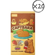 Tokoo Capybara Orman Meyveli Çikolata 30G 20 Adet