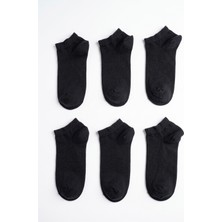QUALITY WALKING Qualıty Walkıng 6'lı Dikişsiz Pamuklu Bilek Boy Patik Çorap