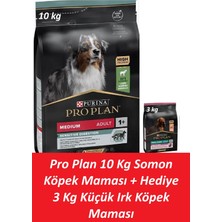 Pro Plan 10 kg Somon Köpek Maması + Hediye 3 kg Küçük Irk Köpek Maması