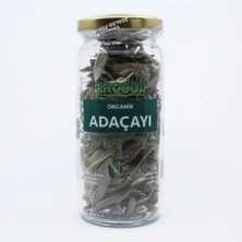 Ekodoli Organik Adaçayı 8g Cam Kavanoz
