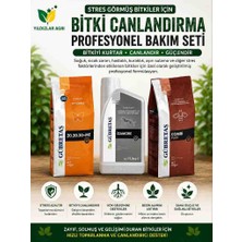 Gübretaş Bitki Çiçek Kurtarma ve Canlandırma Seti 3'lü - ÇSB