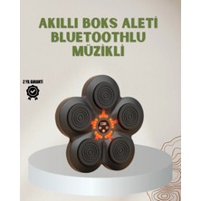 Nemere Bluetoothlu Akıllı Boks Antrenman Cihazı Işıklı Hedefli Kardiyo ve Fitness Aleti