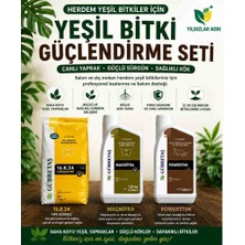 Gübretaş Yeşil Bitki Canlandırıcı ve Güçlendirici 3'lü Bakım Seti - ÇSB