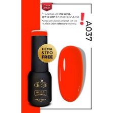Cr-Oje Kalıcı Oje A037- Turuncu Nar Çiceği (5 ML)