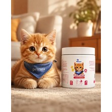 Petcura Yavru Kedi Süt Tozu - Vitamin ve Mineral Destekli 200 gr