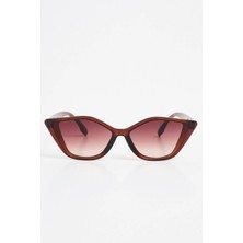 Aqua Di Polo 1987 Cat Eye Kahverengi Kadın Güneş Gözlüğü Apsn004501--55 Ekartman