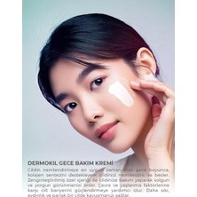 Assess Store Collagen + Biocomplex Yaşlanma Belirtilerine Karşıtı Gece Bakım Kremi (50 Ml) (3 Paketi)