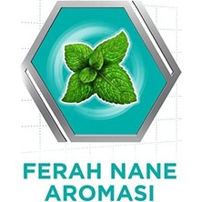 Assess Store Corega Süper Protez Yapıştırıcı Krem 40 G