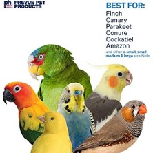 Assess Store Prevue Hendryx Yem & Calypso Creations Fiesta Çanta Kuş Oyuncak 62604 Engage