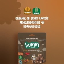 Freedom Storee Organik Fındıklı Kakaolu Vegan Kek 30 gr