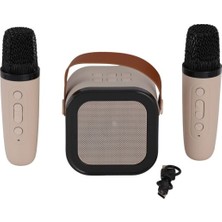 Freedom Storee EMR-102 Kutulu 2li Karaoke Mikrofon