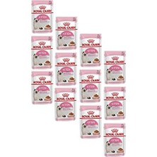 Assess Store Canin Gravy Kitten Instinctive Yavru Yaş Kedi Maması 85GR 12 Adet