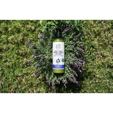 Assess Store Petal Fresh Lavanta Özlü Yatıştırıcı El ve Vücut Losyonu, 355 ml (2 Paketi)