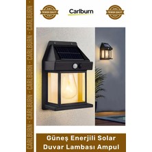 Carlburn Özel Üretim Su Geçirmez Bahçe Dekoratif Güneş Enerjili Solar Duvar Lambası Rustik Ampul Gün Işığı