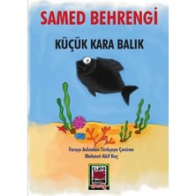 Elips Kitap Küçük Kara Balık