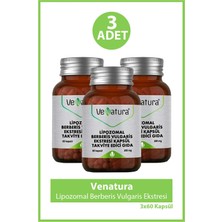 Venatura Lipozomal Berberis Vulgaris Ekstresi 60 Kapsül 3 Adet