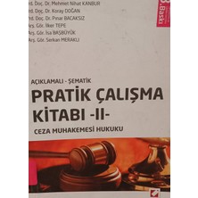 Kişisel Yayınlar Açıklamalı - Şematik Pratik Çalışma Kitabı - - Veli Özer Özbek- Kanbur- Doğan -Bacaksız - 2.el Kitap