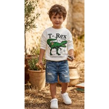 Baby Lory Kids Store Erkek Çocuk Dinazor Desenli Sweatshirt